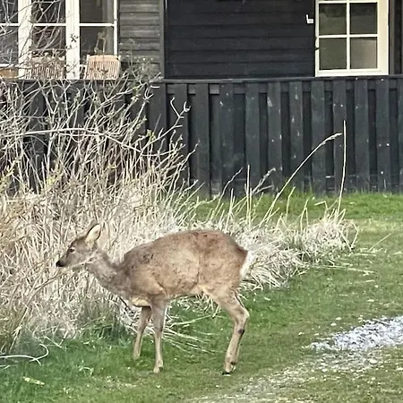 Prázdninový dům Sommerhus Tjorneklitten